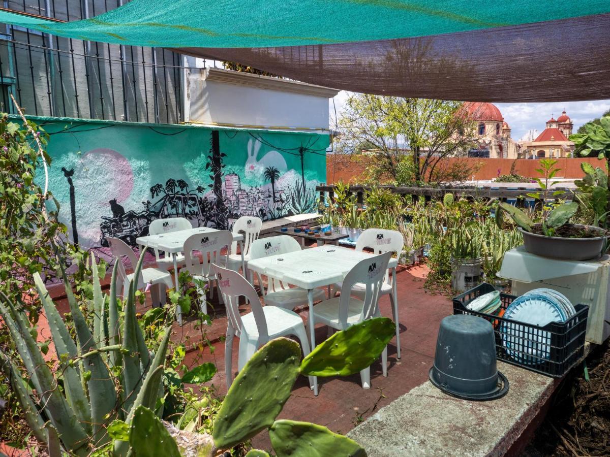 Hostal Luz De Luna Nuyoo Oaxaca Eksteriør billede