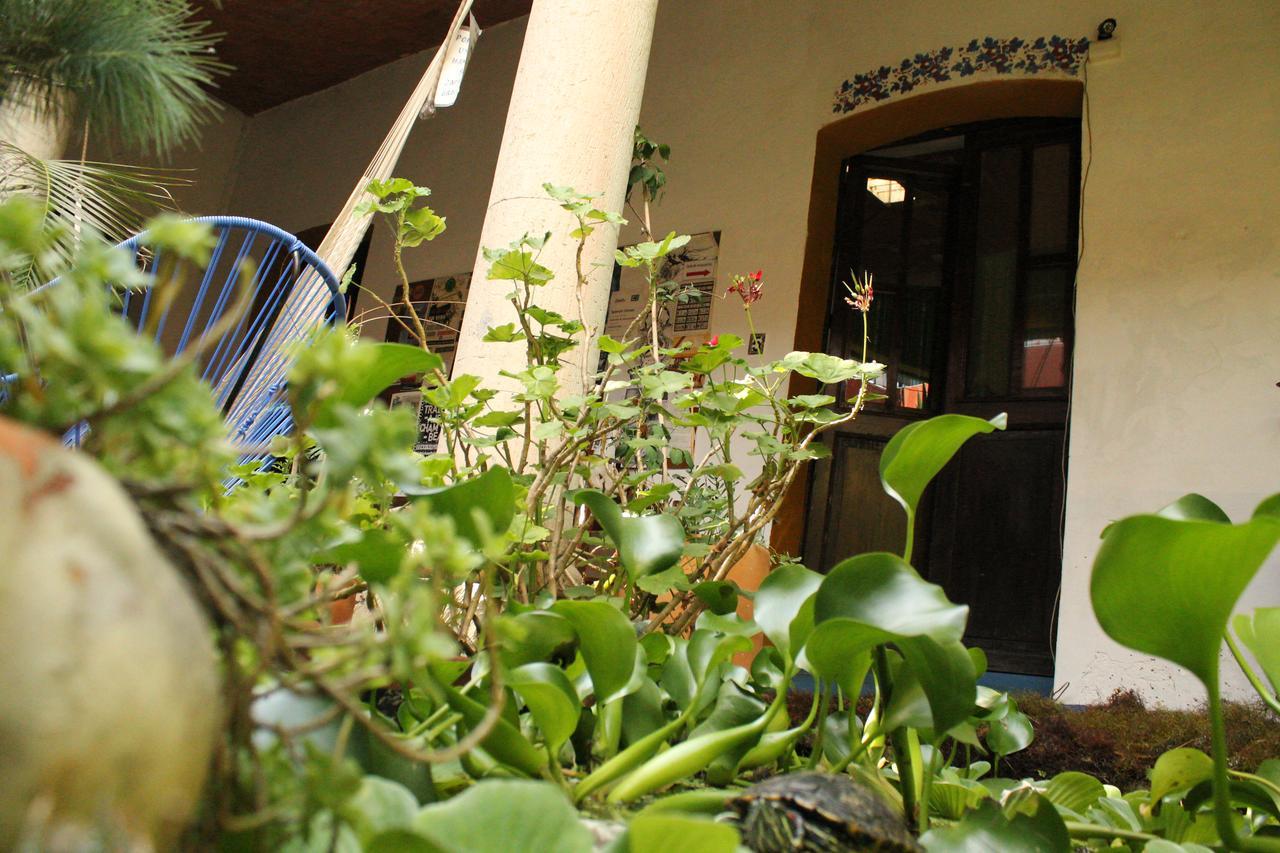 Hostal Luz De Luna Nuyoo Oaxaca Eksteriør billede